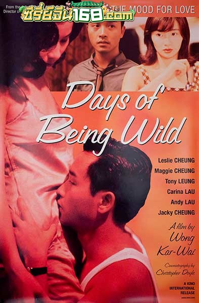 Days of Being Wild (1991) วันที่หัวใจรักกล้าตัดขอบฟ้า
